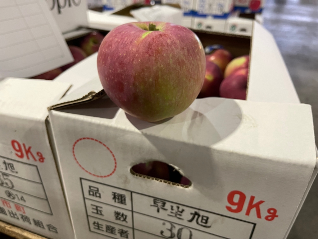 北海道産りんごの初出荷です – 札幌みらい中央青果株式会社