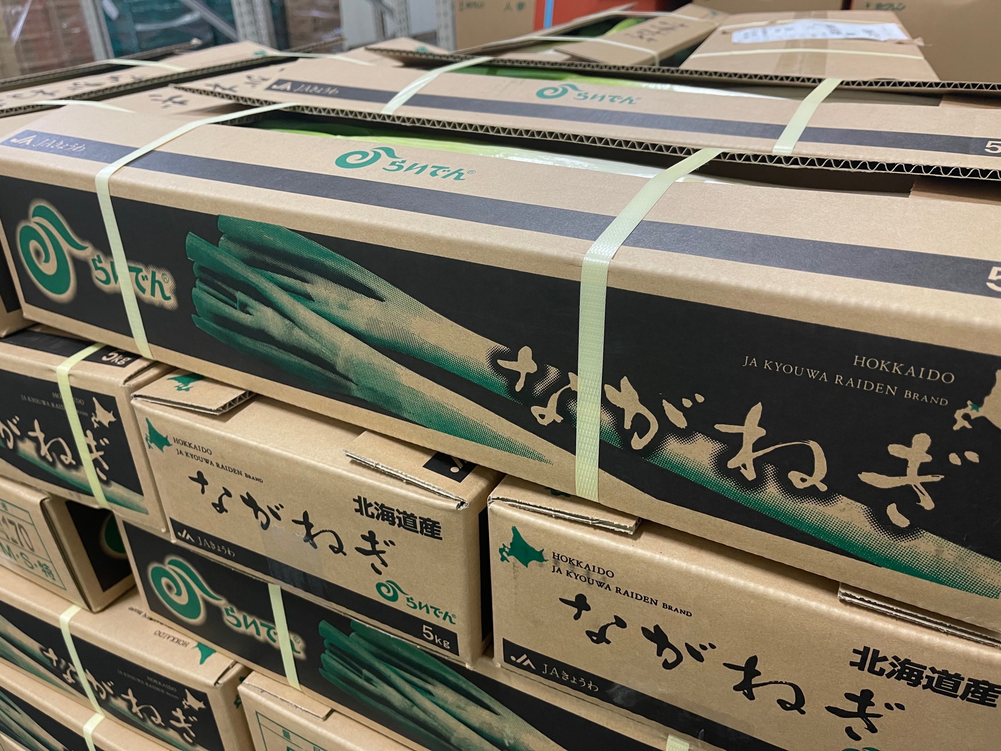 E*n様 ねぎねぎ ねぎおくんの編みぐるみ◎ (発送17日以降になりますm(_ E*n様 ねぎねぎ ねぎおくんの編みぐるみ◎ (発送17日以降になりますm(_