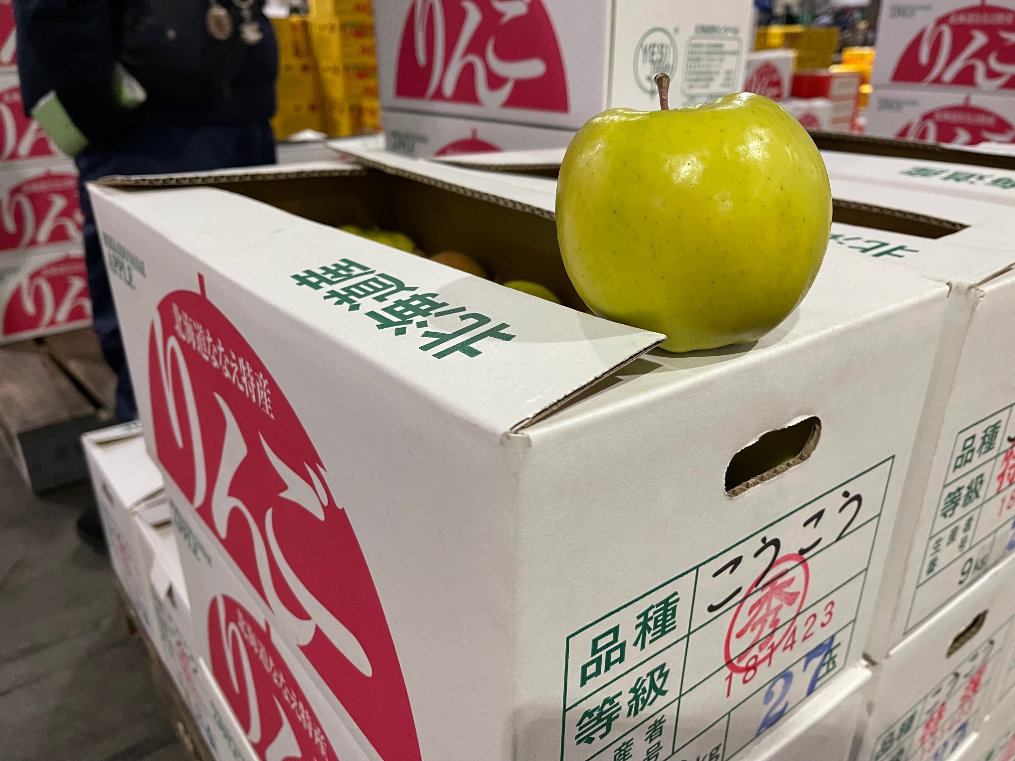 こうこう? 札幌みらい中央青果株式会社