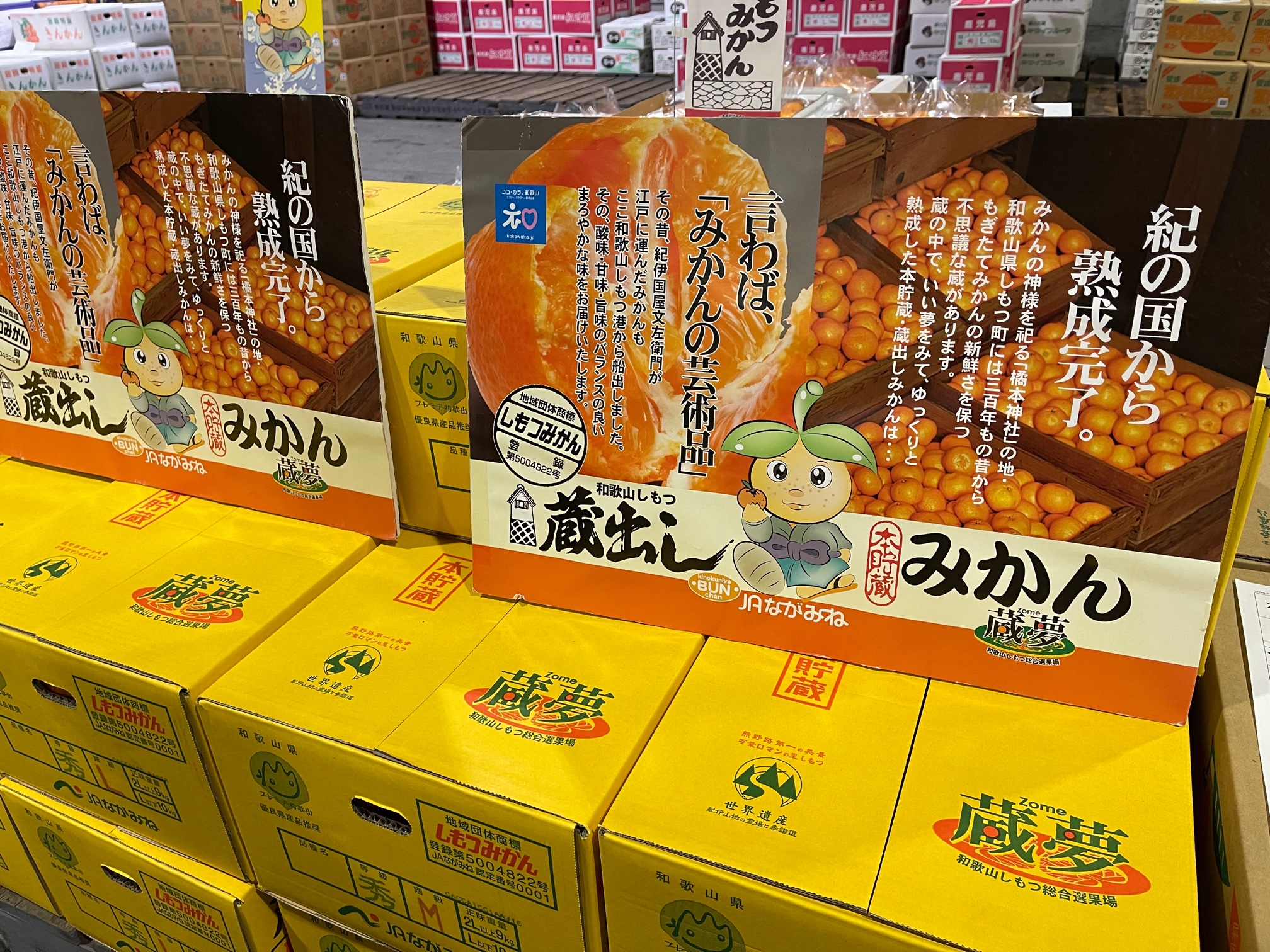 浄化箱売切れ IMG_1350.jpg