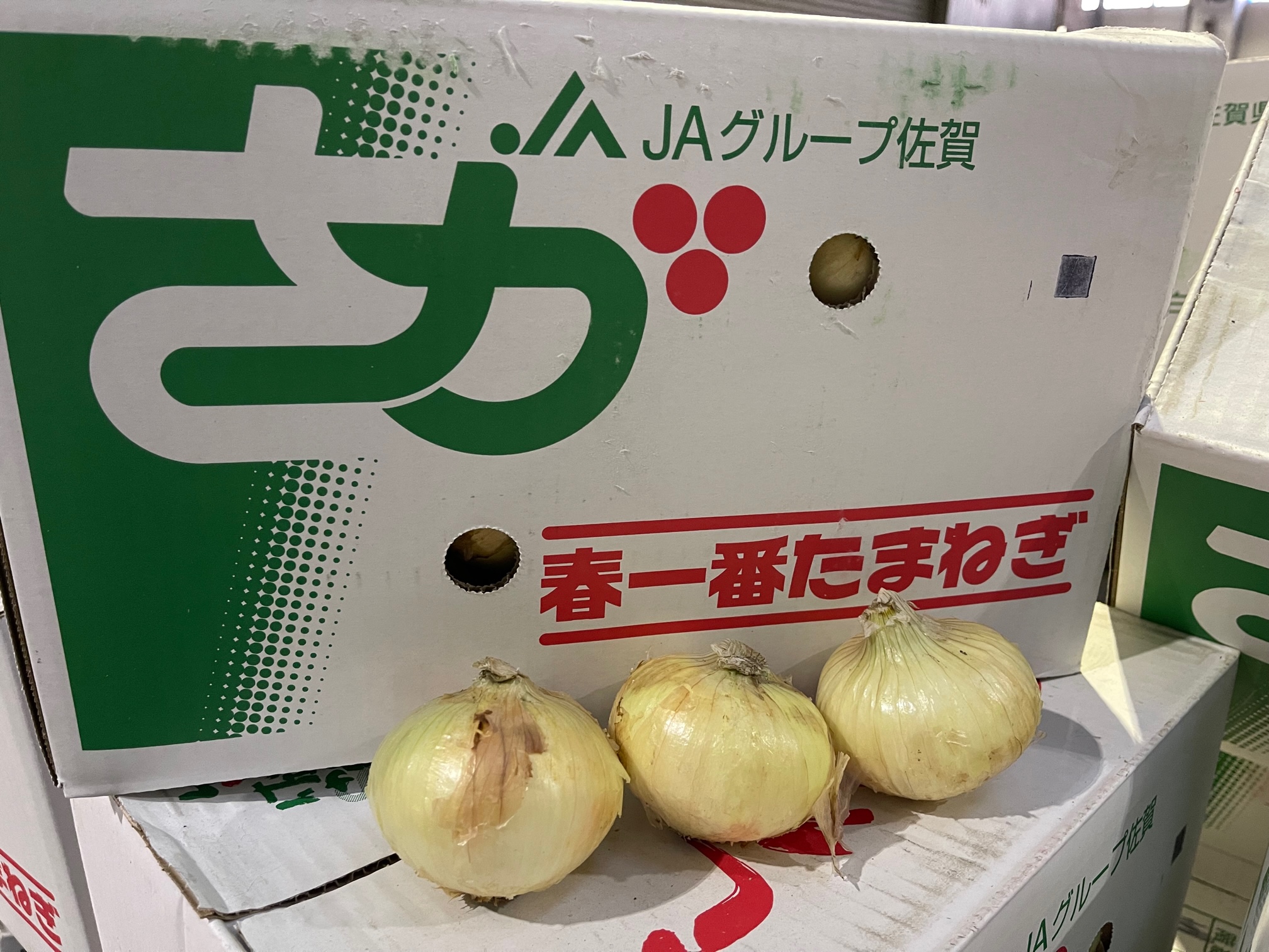 JAさが白石地区の「春一番たまねぎ」の販売が始まりましたよ – 札幌