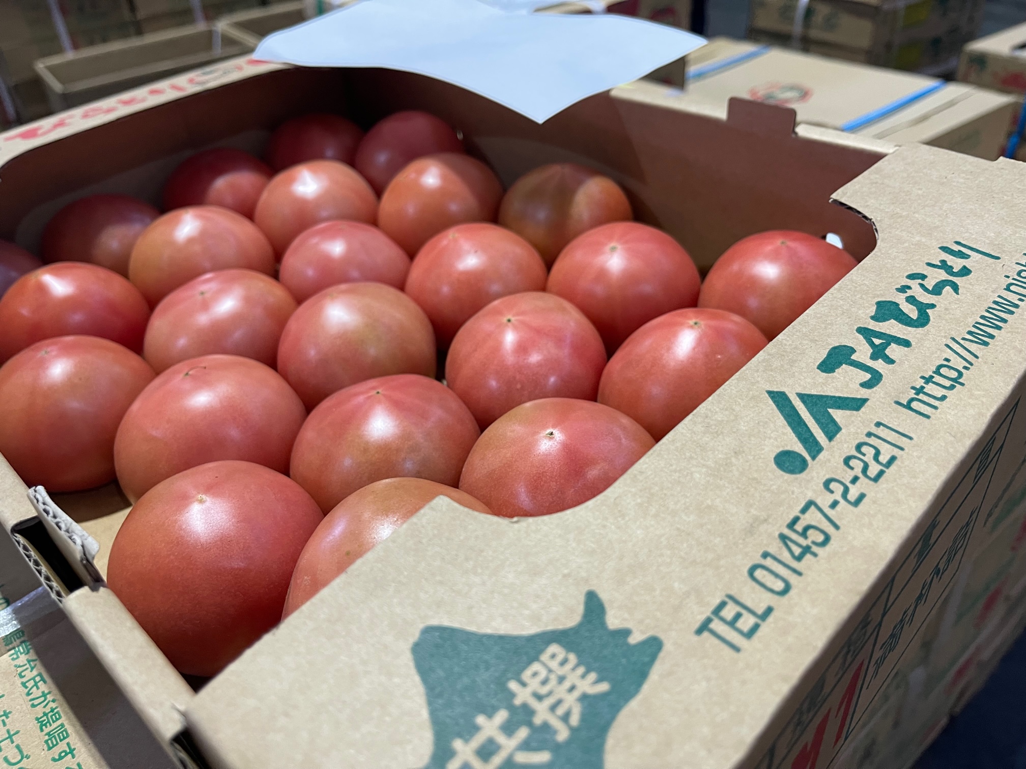 JAびらとり「ニシパの恋人（トマト）」の販売が始まりましたよ – 札幌