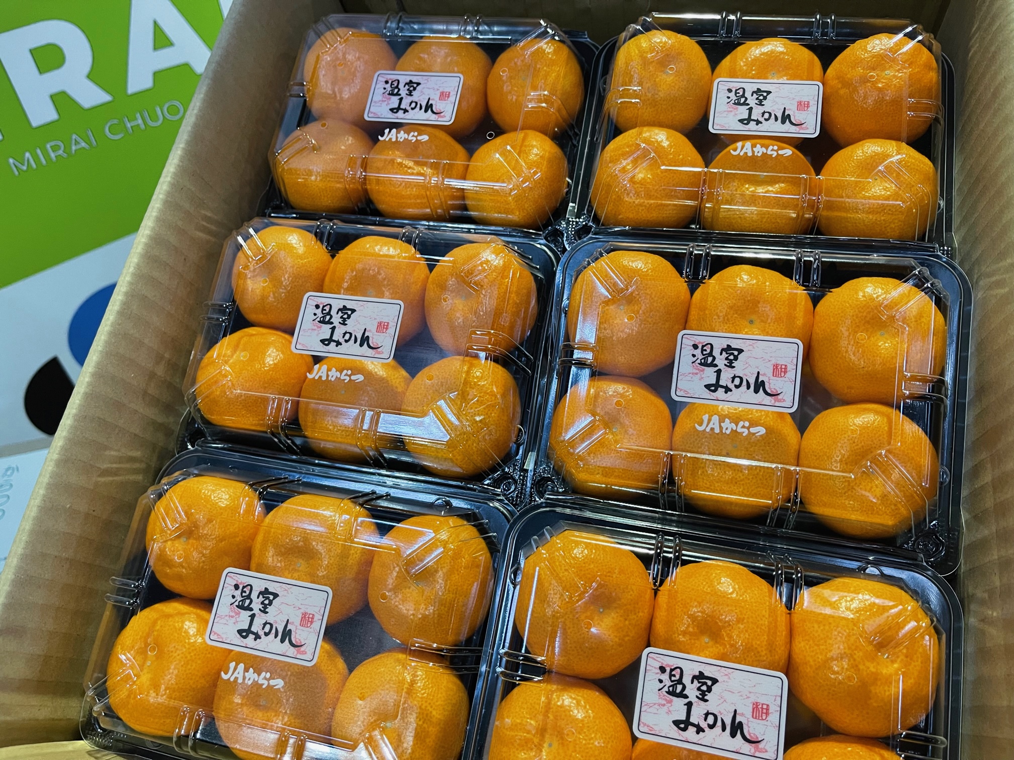 JAからつ「ハウスみかん」の販売が始まりました – 札幌みらい中央青果