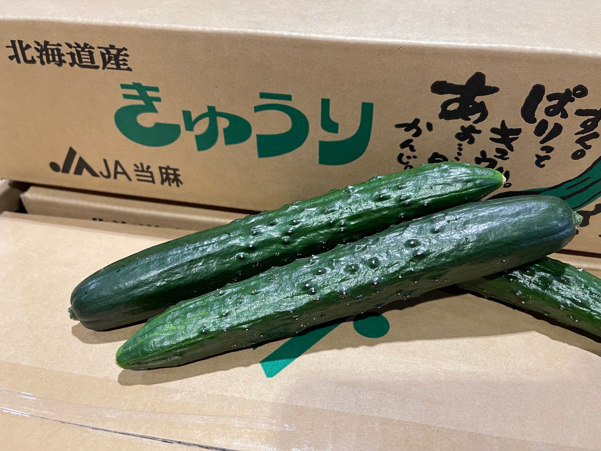 JA当麻「きゅうり」の販売が始まりましたよ – 札幌みらい中央