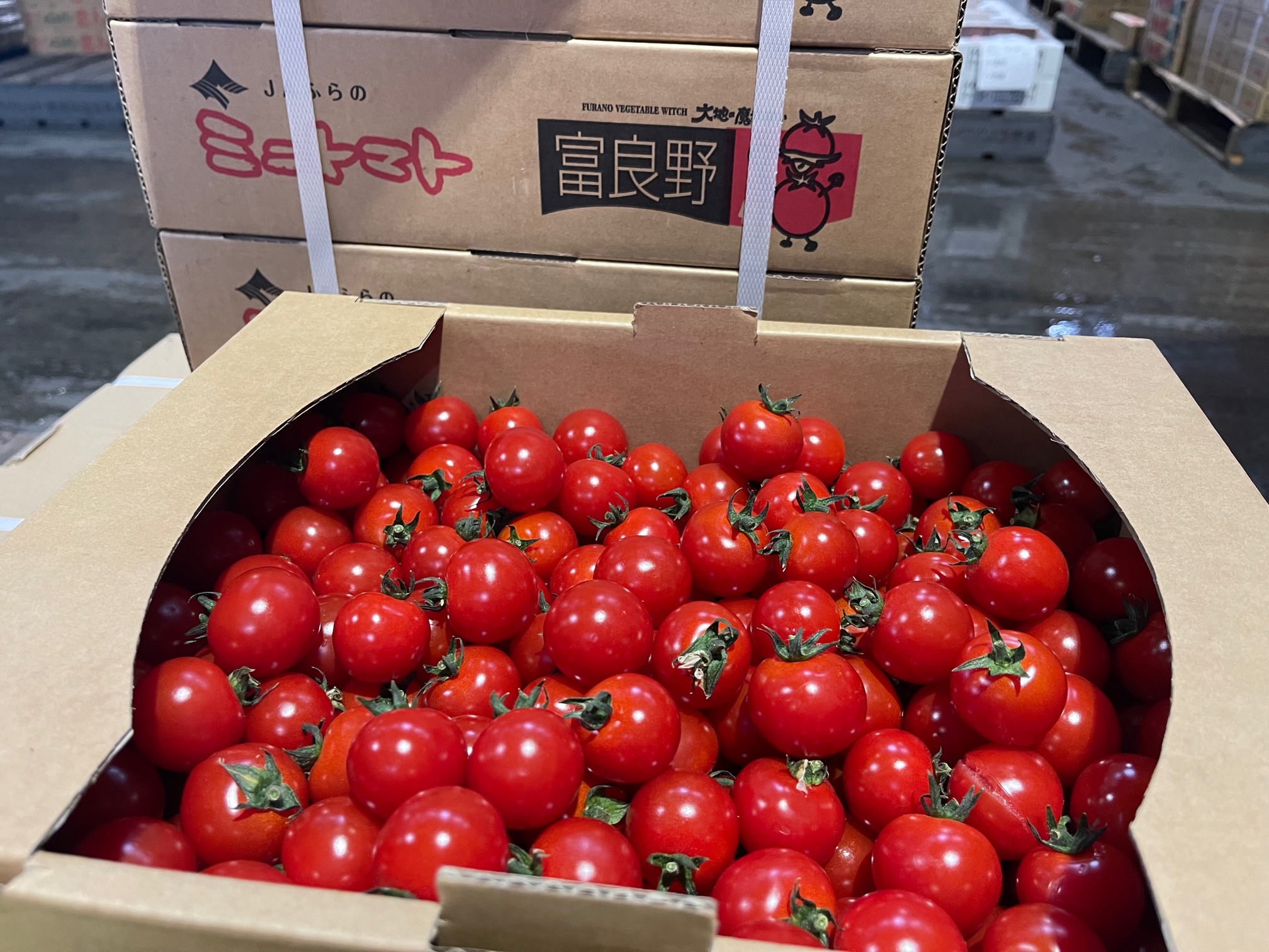 先週から本日までの初出荷情報 – 札幌みらい中央青果株式会社