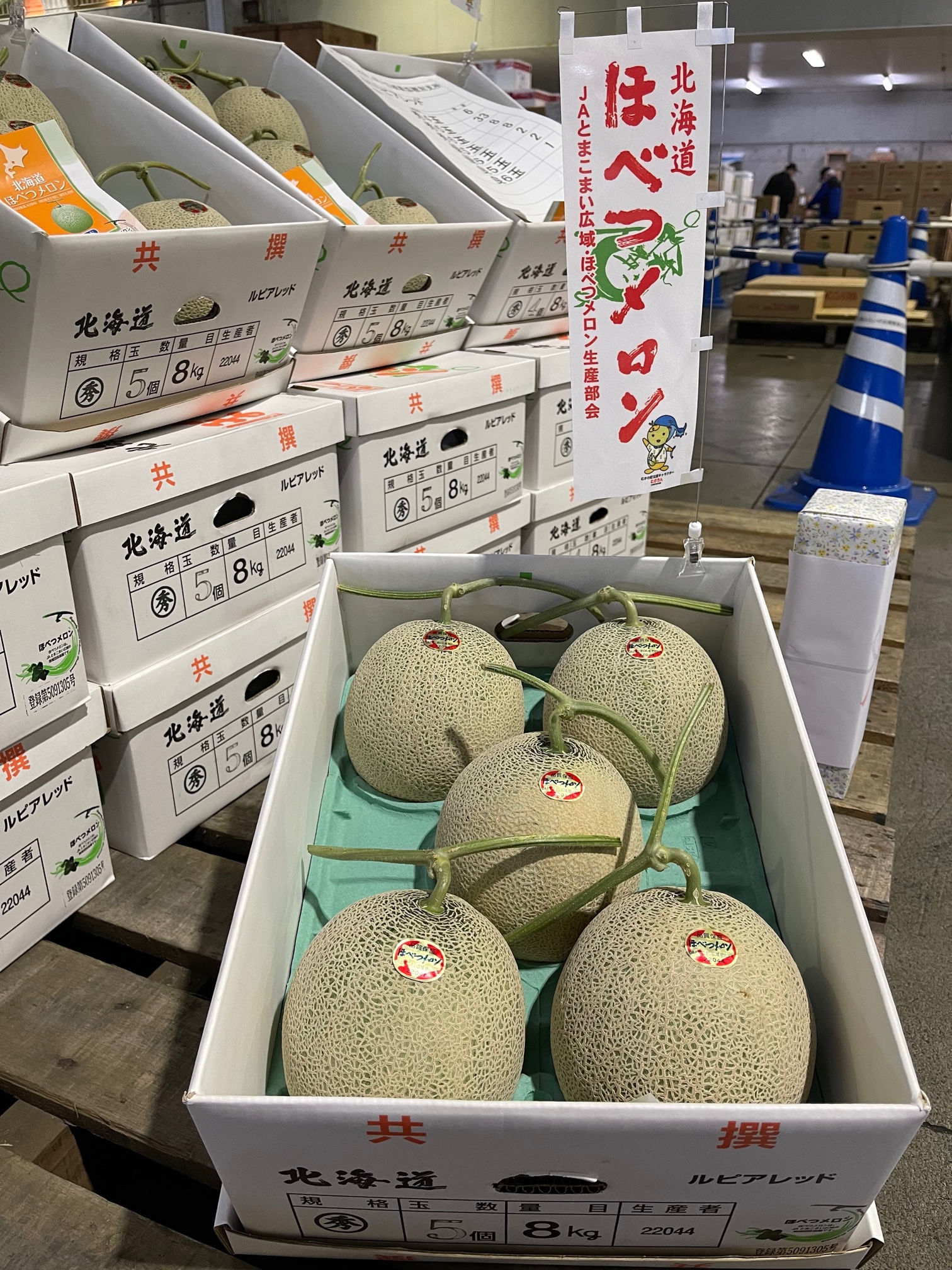 Jaとまこまい広域穂別支所 ほべつメロン Jaきたそらち ひまわりすいか の初出荷がありました 札幌みらい中央青果株式会社