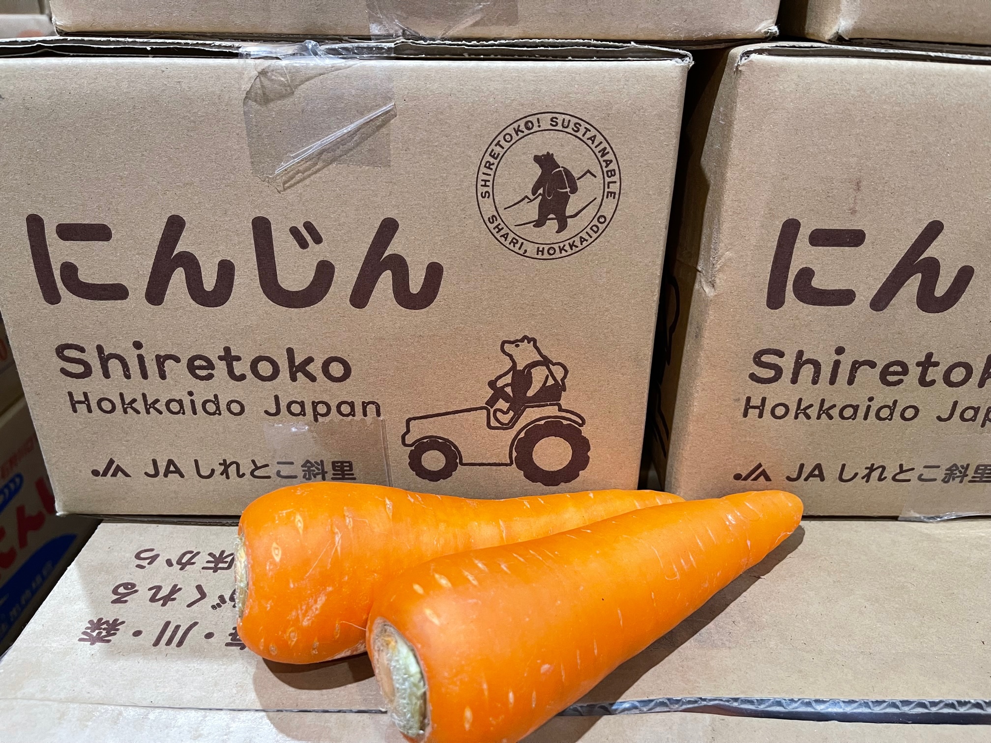 JAしれとこ斜里「にんじん」の初出荷がありましたよ。 – 札幌みらい