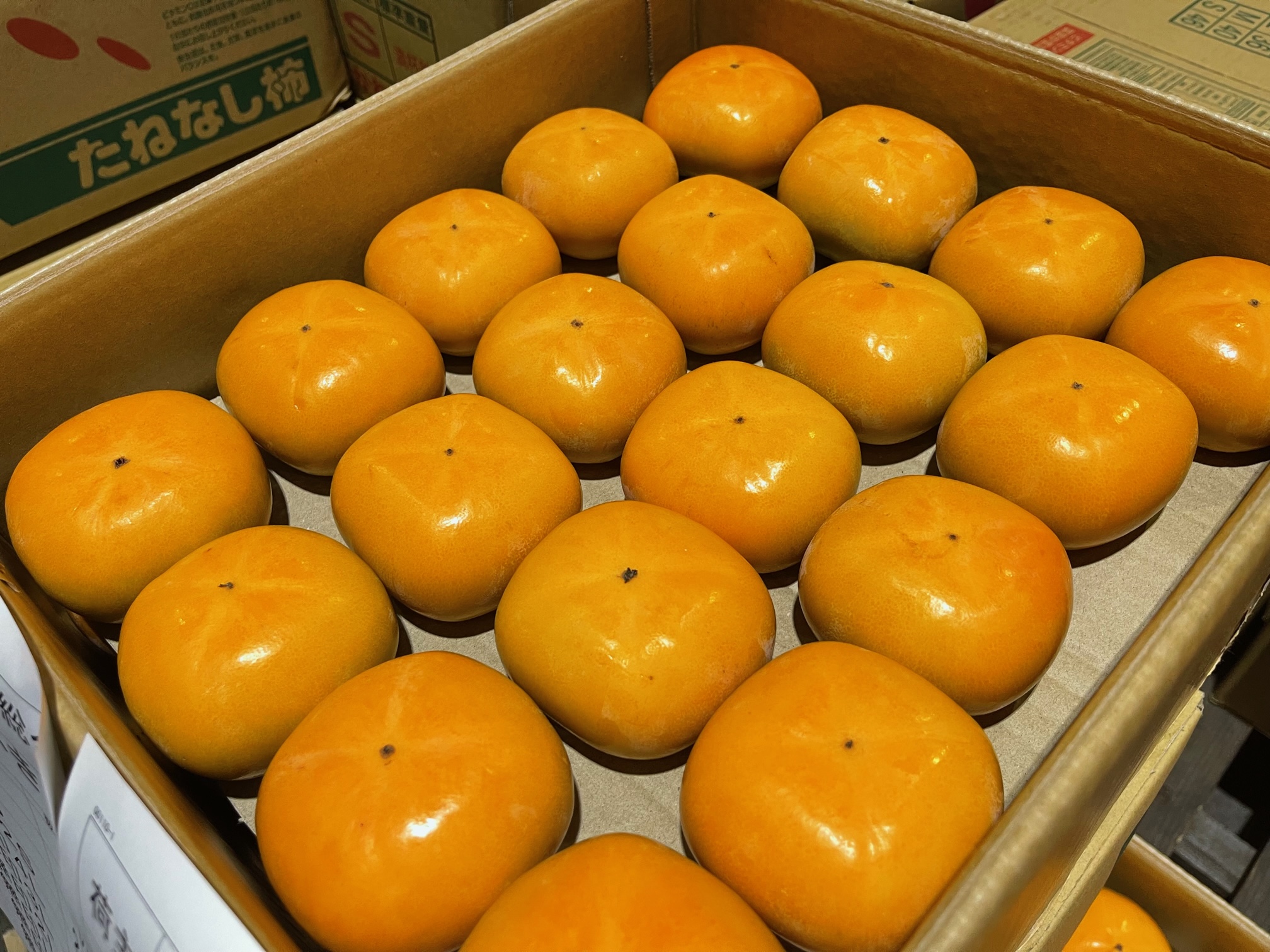 みいこ様~☆お得意様ご予約出品ページ渋柿15キロ みいこ様~☆お得意様ご予約出品ページ渋柿15キロ みいこ様~☆お得意様