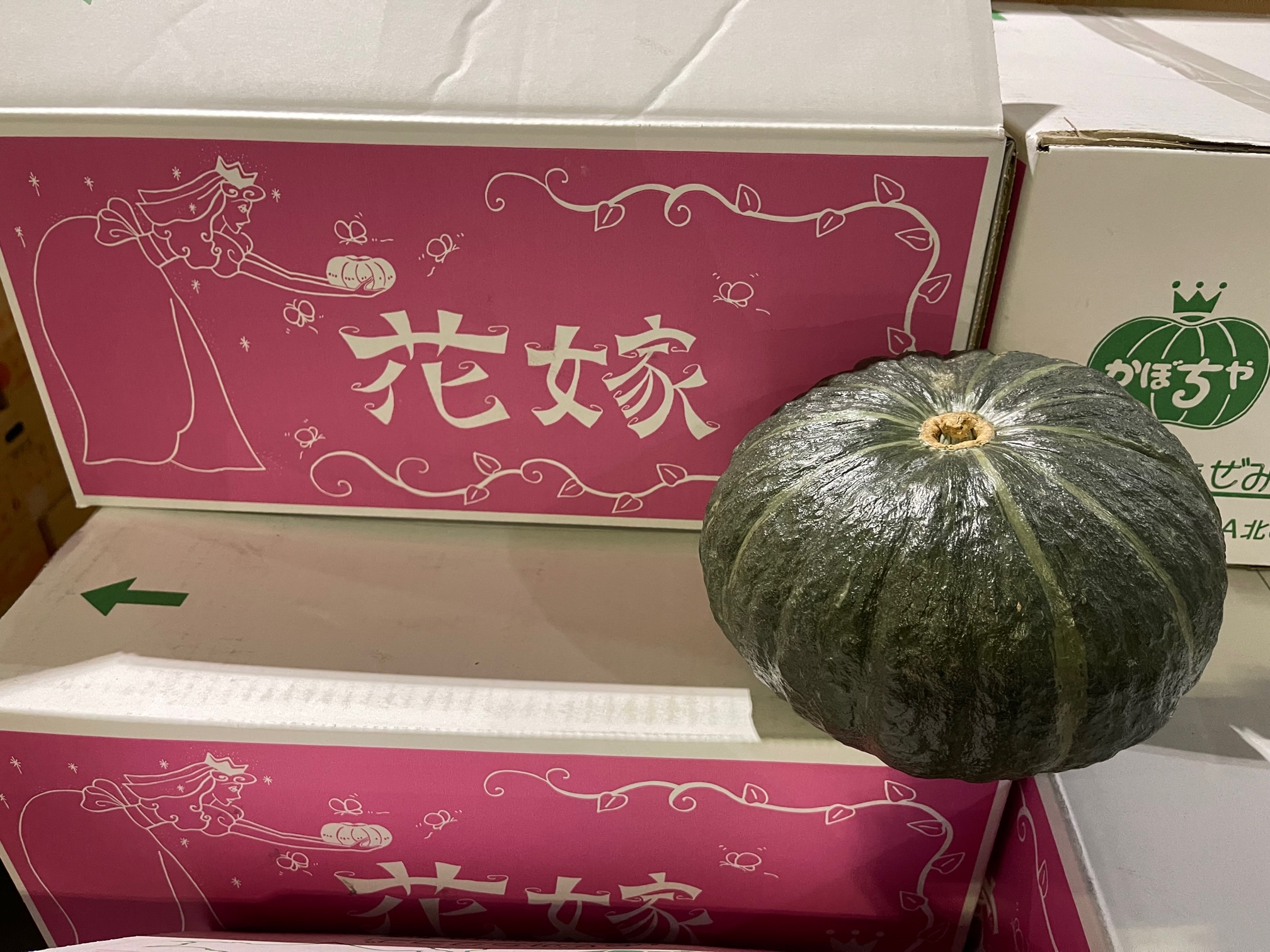 ♡がちゃぴん様ご確認♡ JA北ひびき和寒「花嫁（超美人）」が入荷しましたよ – 札幌みらい中央