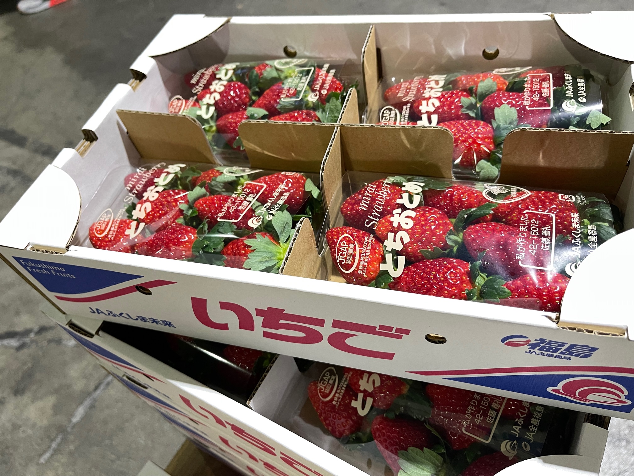 いちご続々と入荷中です – 札幌みらい中央青果株式会社
