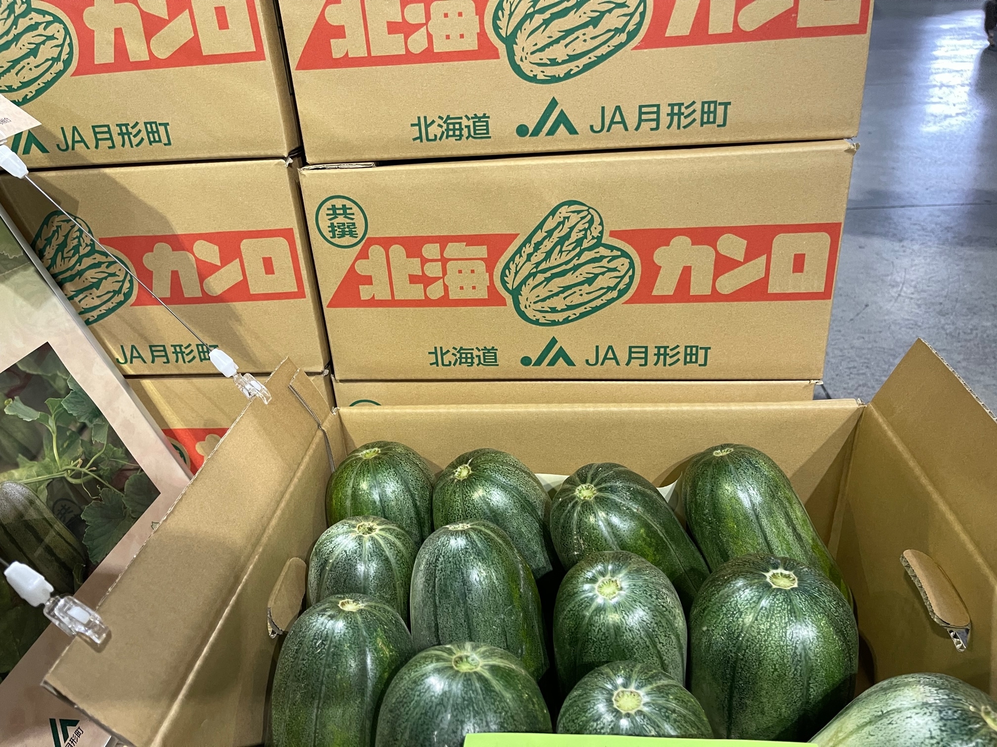 JA月形町「北海カンロ」、JA新すながわ「きゅうり」の初出荷がありま