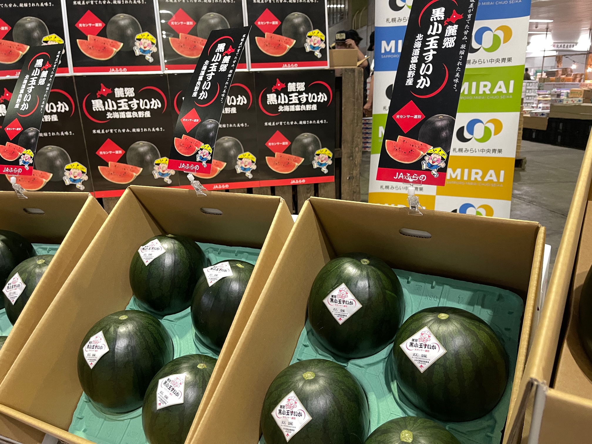 ※2匹セット　レテノール&カキカ標本 牡蠣オリーブオイル漬け2種セット(2種セット): せとうちエリア