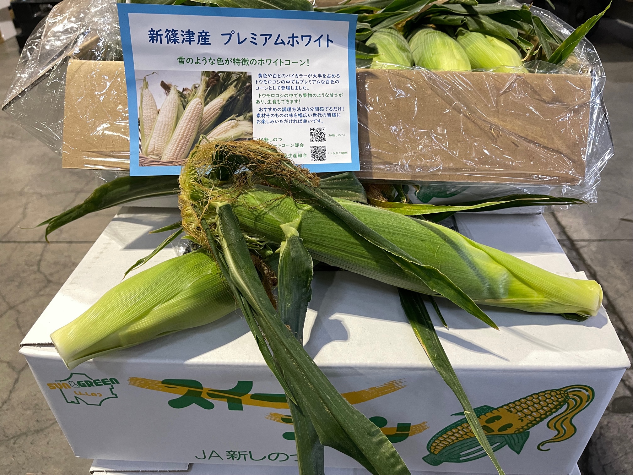 JA新しのつ「プレミアムホワイト」「グラビス」の初出荷がありましたよ