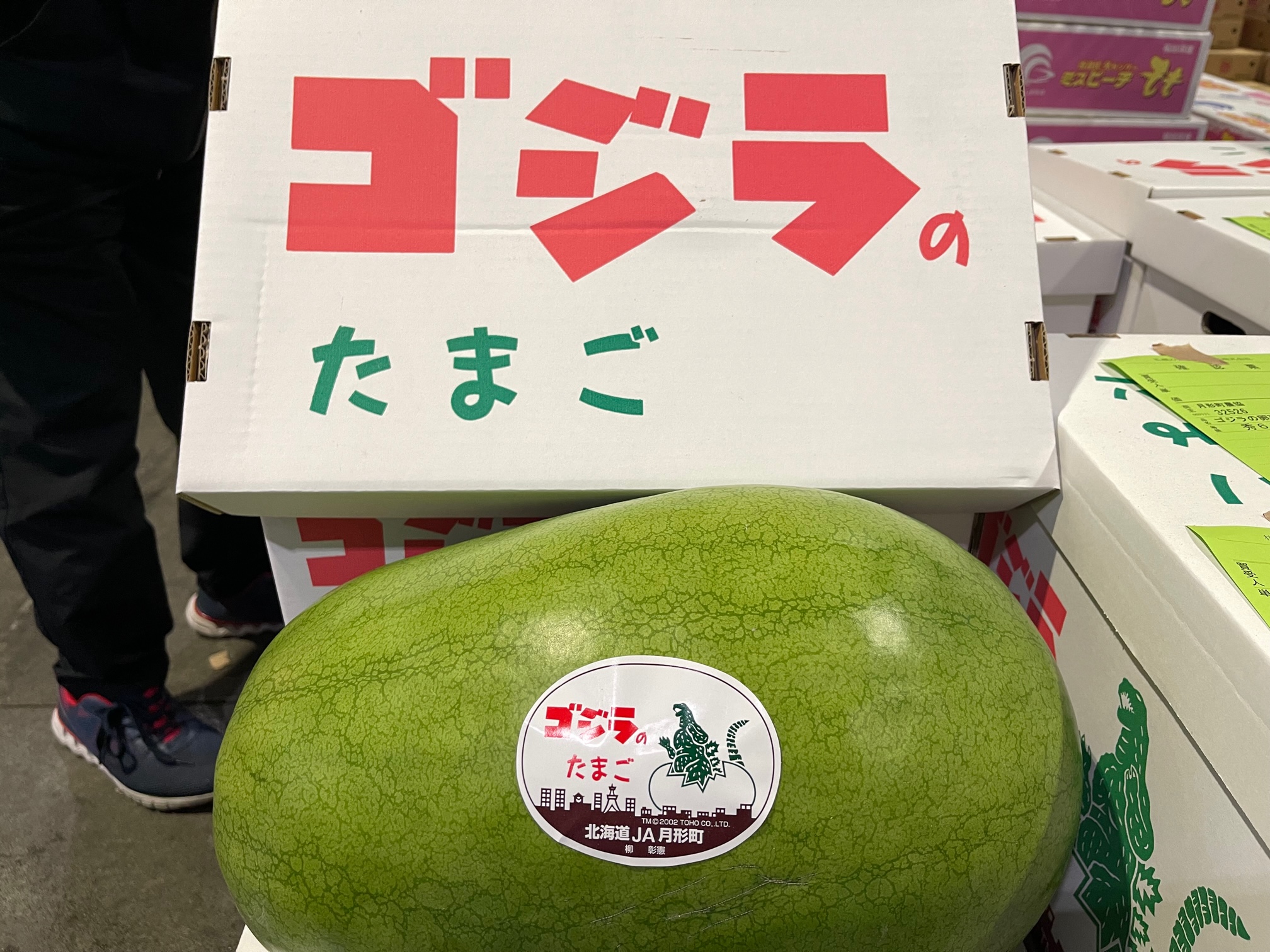 JA月形町「ゴジラのたまご」「おつきさま」の初出荷がありましたよ