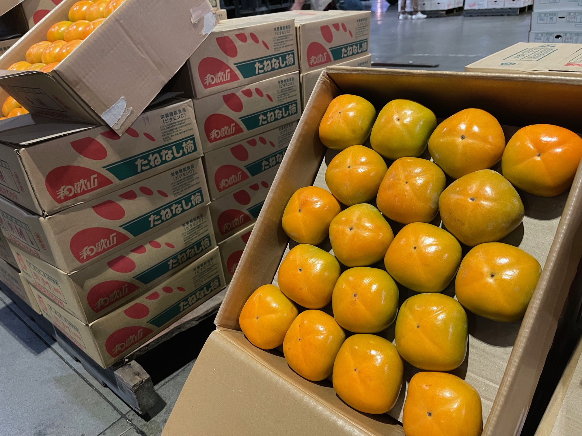 和歌山県農協連「早生平核無かき」の初出荷ですよ – 札幌みらい中央