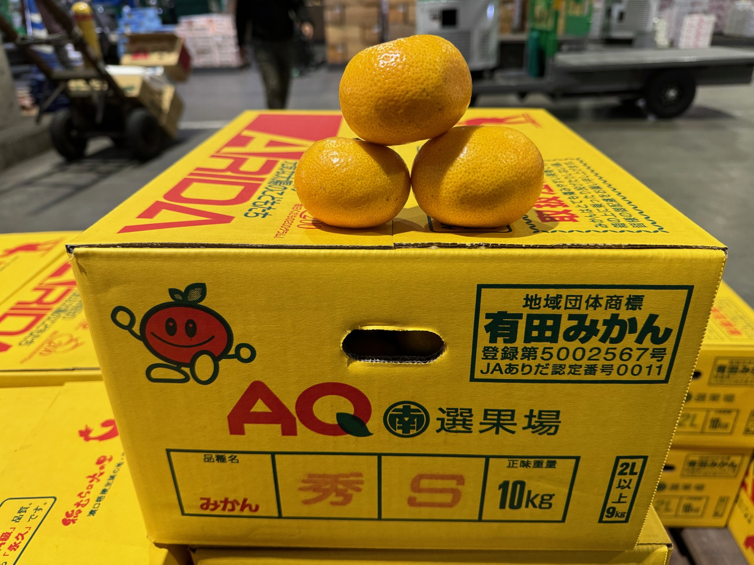 今週の入荷情報 – 札幌みらい中央青果株式会社