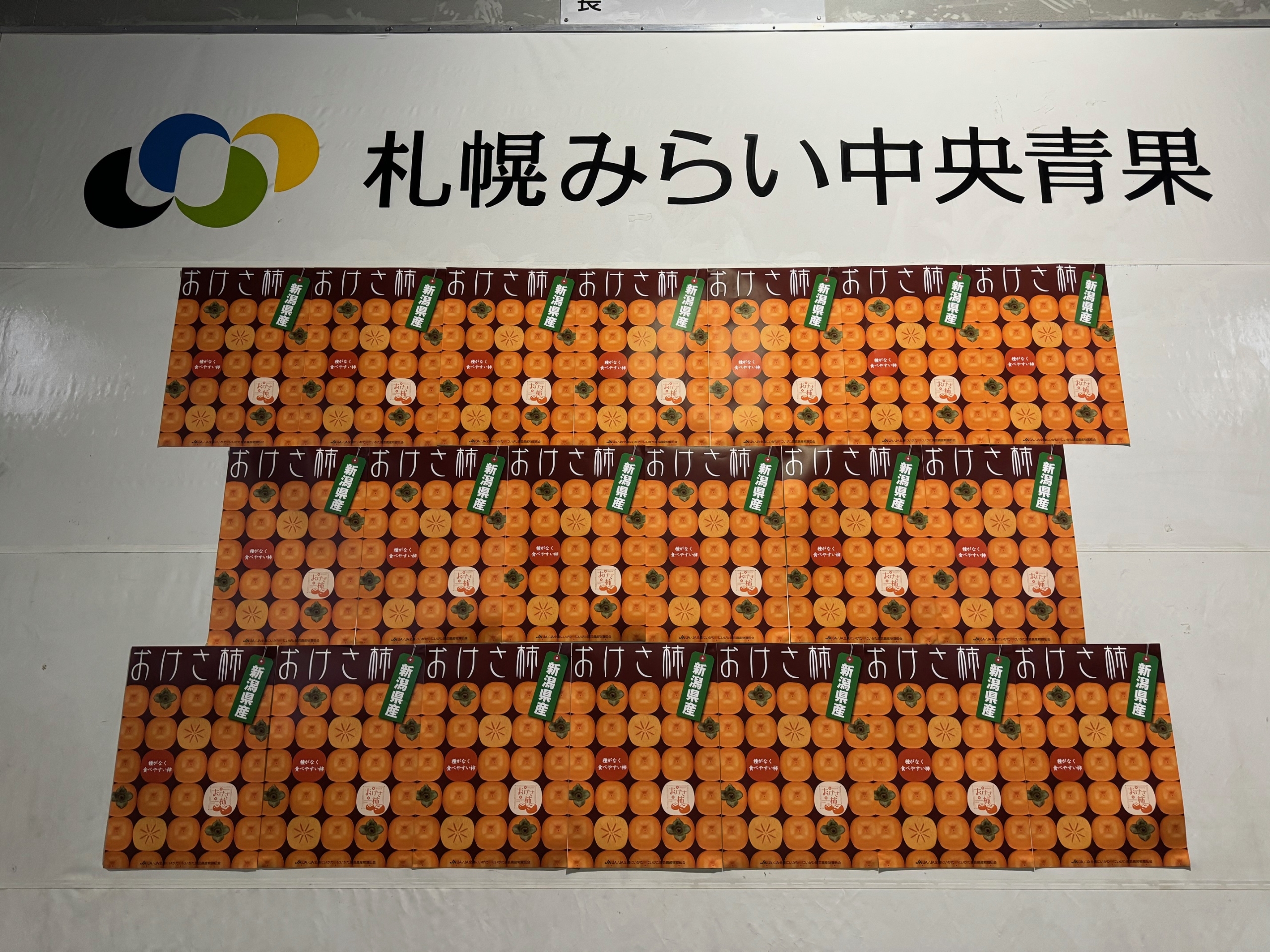 令和5年度おけさ柿トップセールスがありました – 札幌みらい中央青果