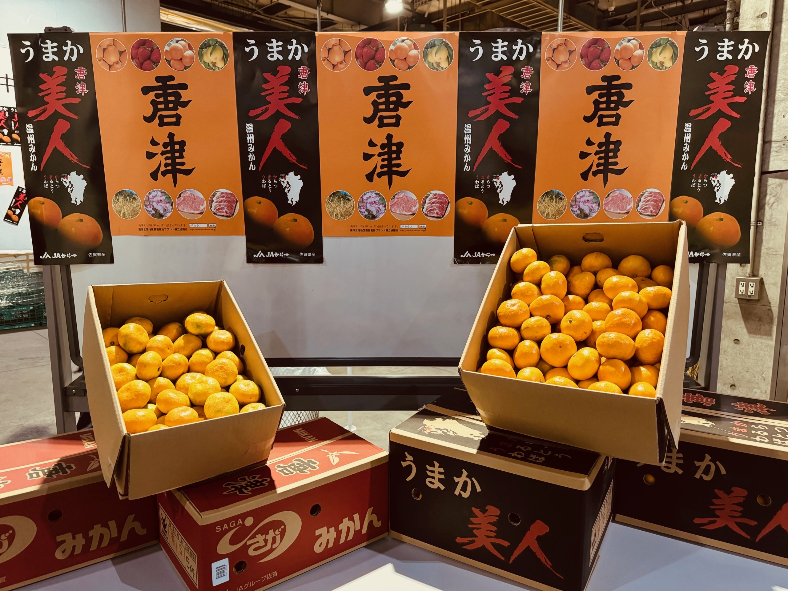 【お買い得】【激美品】 IMG_9138-scaled.jpg