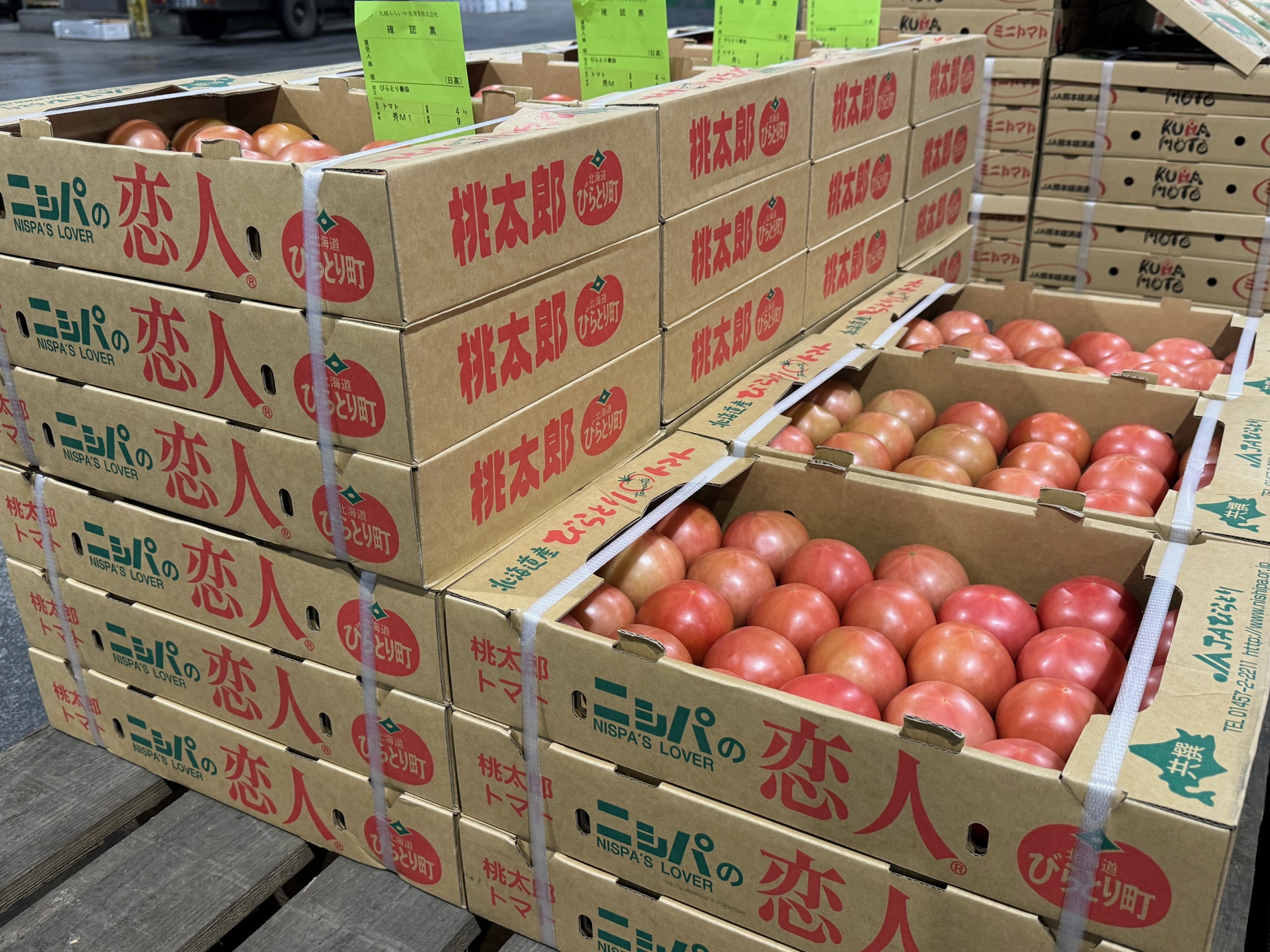 JAびらとり「トマト」の初出荷がありました – 札幌みらい中央青果株式会社