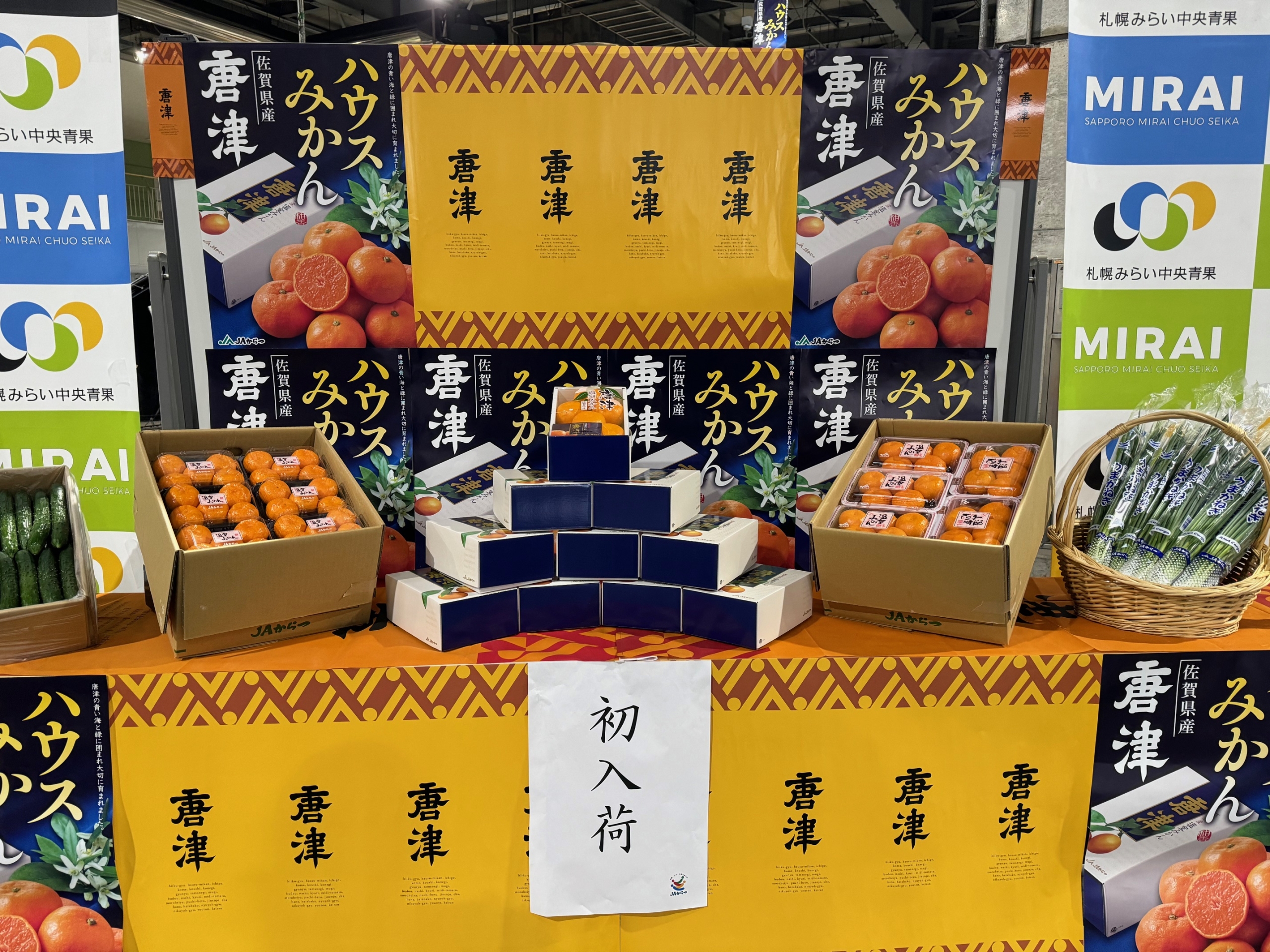 JAからつ「ハウスみかん」の初出荷がありました。 – 札幌みらい中央