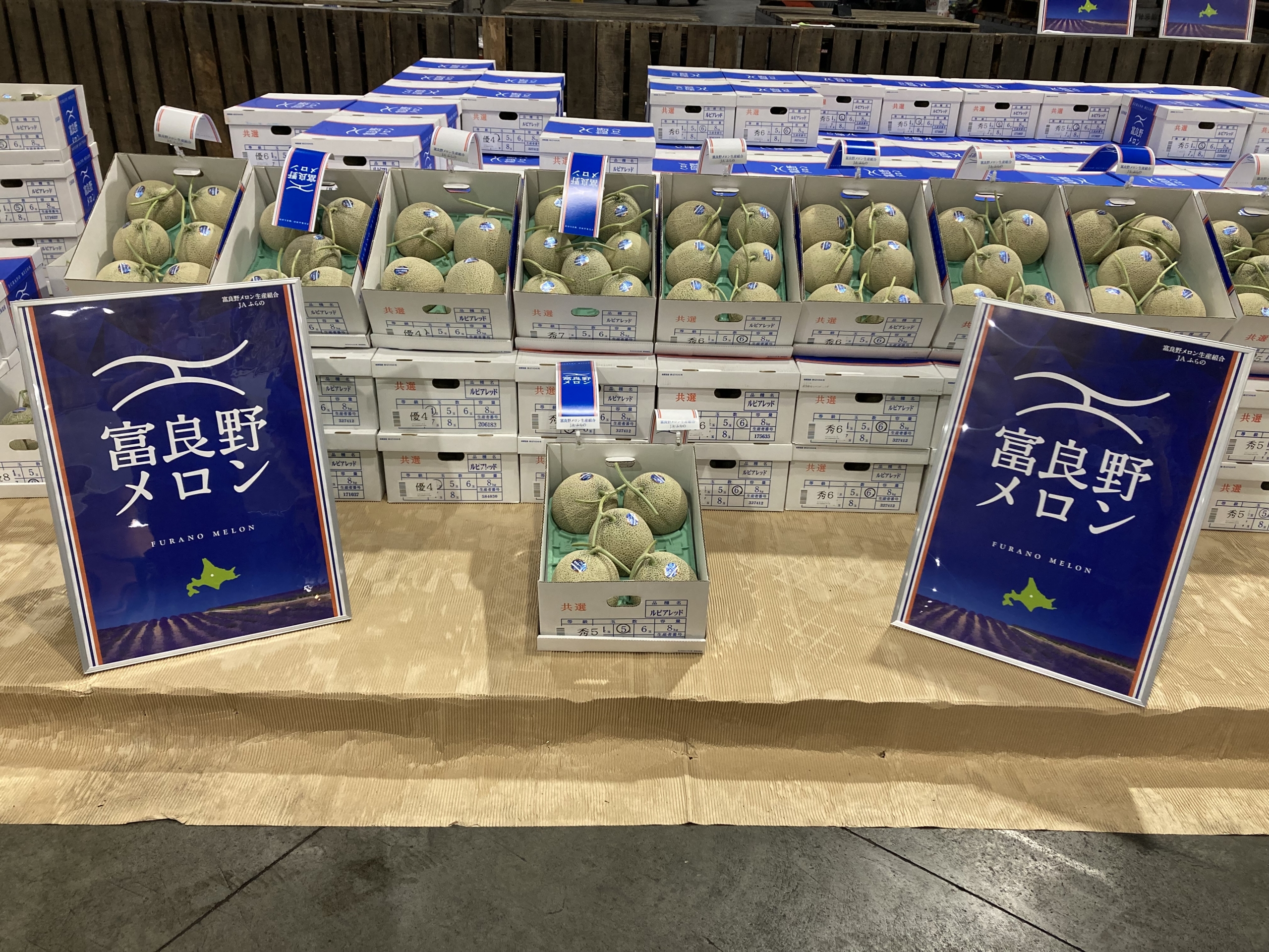 今日はJAふらの「富良野メロン」初出荷もあった今週の入荷情報（6/10