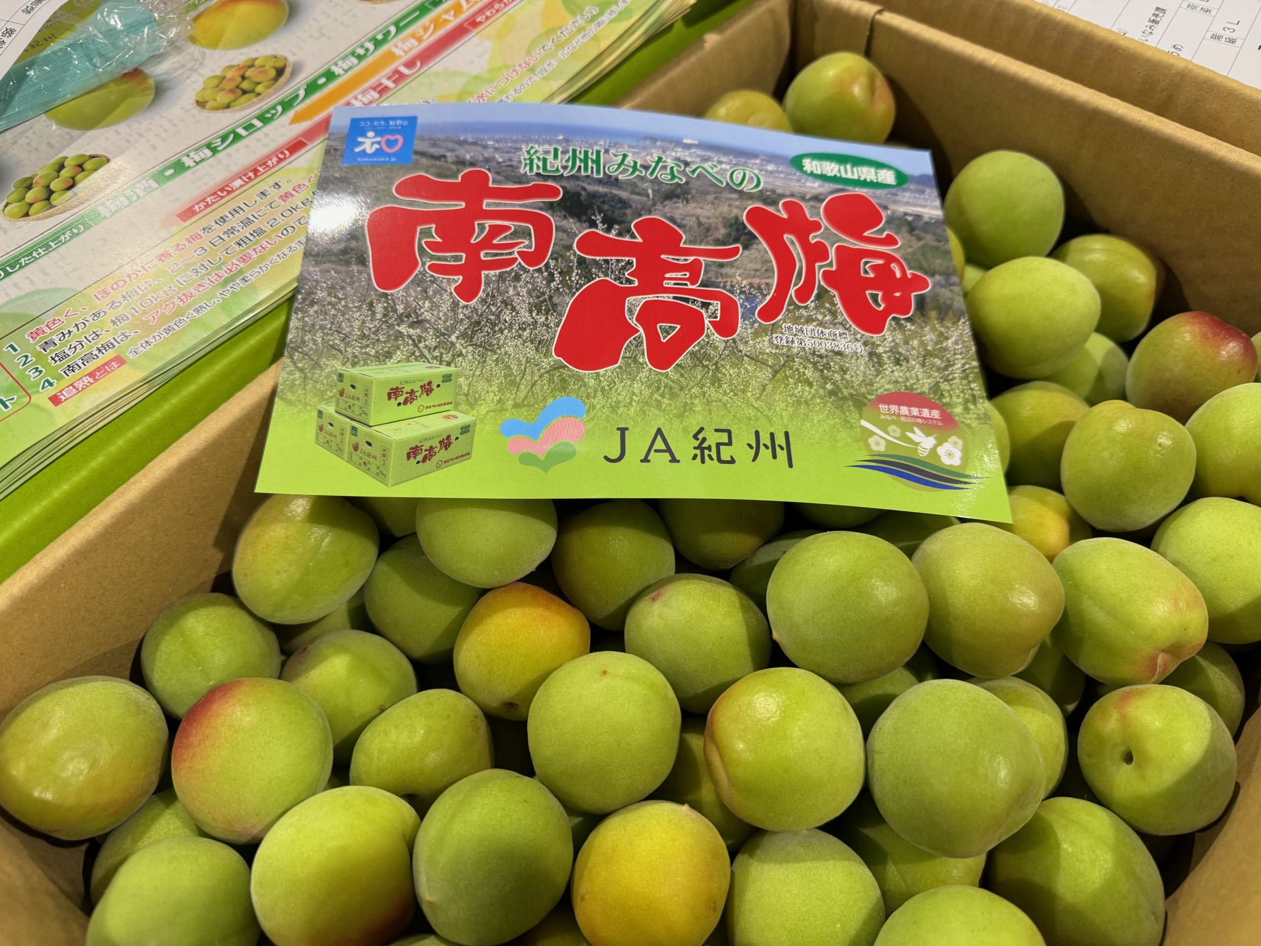 今週の入荷情報（5/27～6/1） – 札幌みらい中央青果株式会社