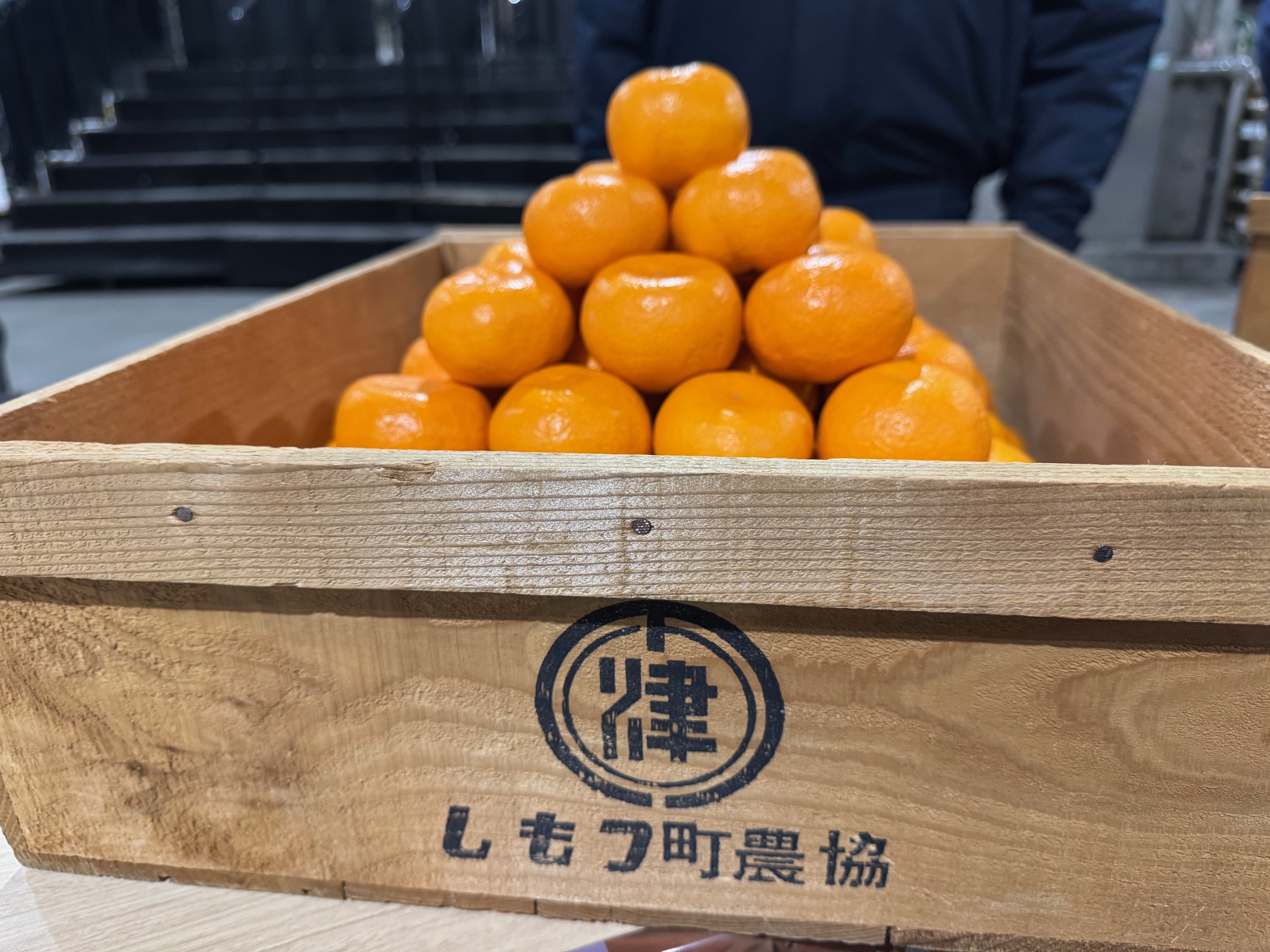 ながみね下津蔵出しみかんキャンペーンクルー」が来場されました