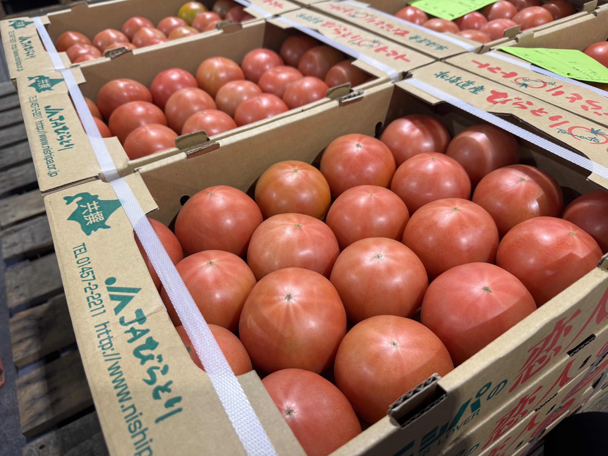 今週の入荷情報（5/1～10） – 札幌みらい中央青果株式会社