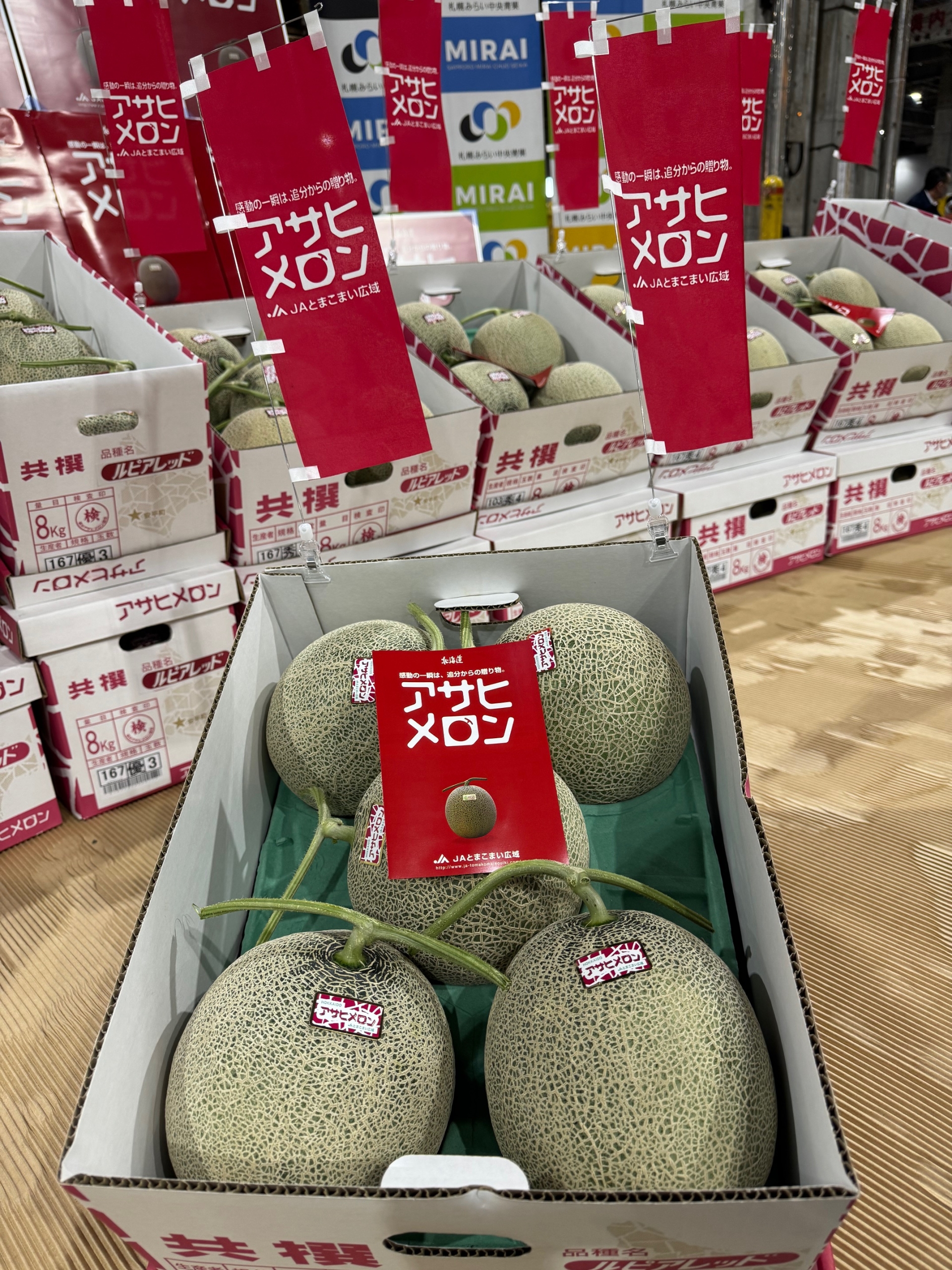 令和7年北海道産メロンの初出荷です – 札幌みらい中央青果株式会社