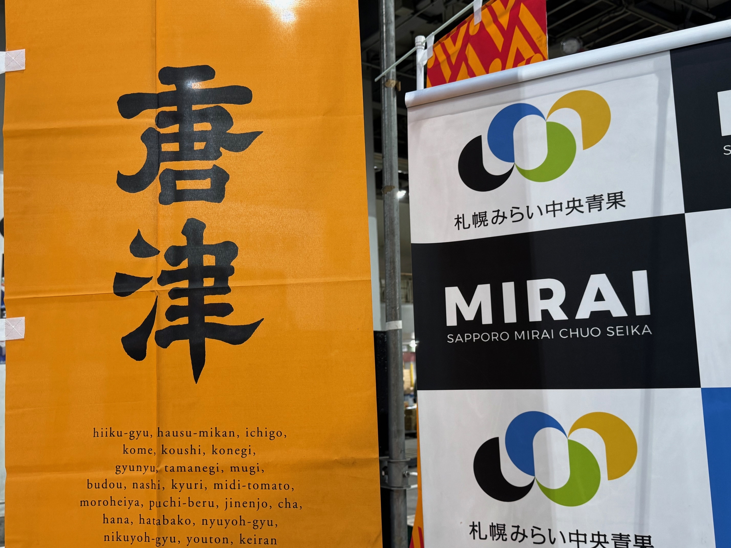 JAからつ「ハウスみかん」の初出荷です – 札幌みらい中央青果株式会社