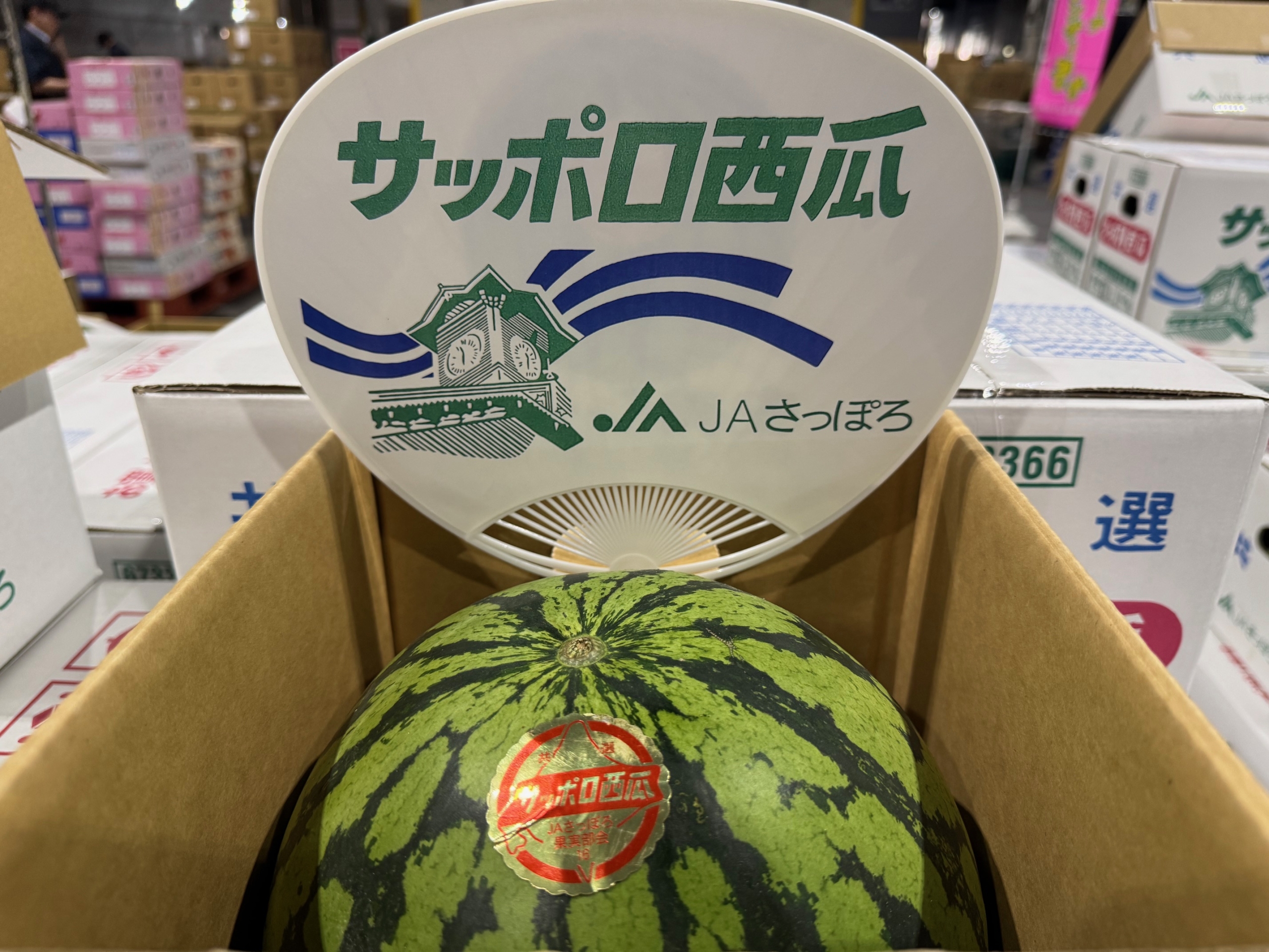 サッポロ西瓜」初セリ、「福島県くだもの消費拡大キャンペーンクルー