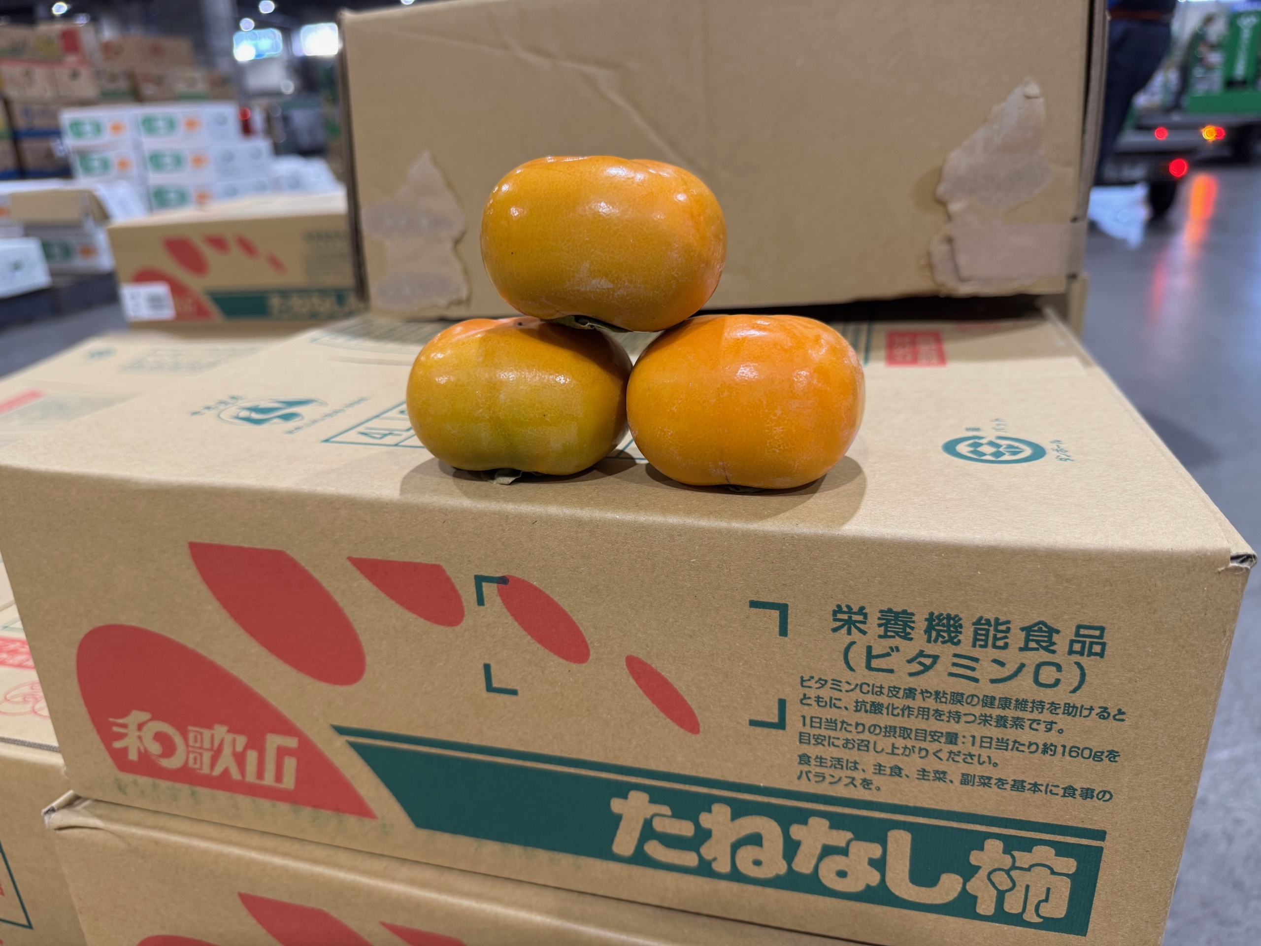 今週の入荷情報（9/8～13） – 札幌みらい中央青果株式会社