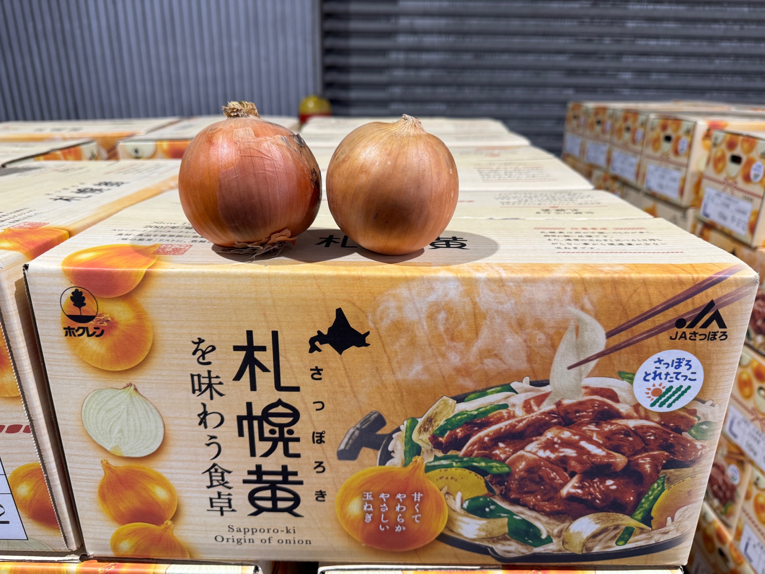 プラシノテノールさん専用だよ ほかのかたは買えないにするよ＼(^o^)／ 鞍掛 ピノ・ノワール（白） [2022] - ぼんじゅーる農園直売所です。。。